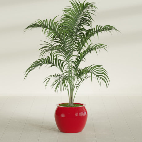 Shanghai Fishbowl fiberglass planter in Gloss Red, shown planted, in a sunlit interior