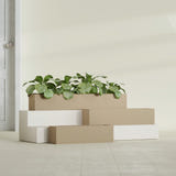 Monaco Rectangle fiberglass planter in Gloss Metallic Gold, shown planted, in a sunlit interior