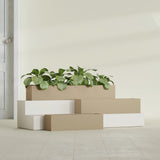 Monaco Rectangle fiberglass planter in Gloss Metallic Gold, shown planted, in a sunlit interior