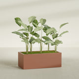 Torino Wide Rectangular fiberglass planter in Matte Terra Cotta, shown planted, in a sunlit interior
