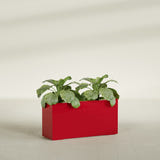 Miami Narrow Rectangular fiberglass planter in Gloss Red, shown planted, in a sunlit interior