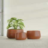Short Hayden Bowl fiberglass planter in Matte Terra Cotta, size range, in a sunlit interior