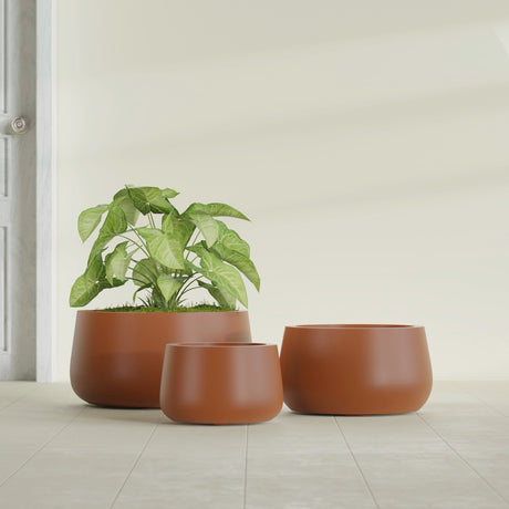 Short Hayden Bowl fiberglass planter in Matte Terra Cotta, size range, in a sunlit interior