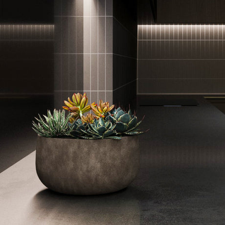 Mondo Low round Cosapots fiberglass planter, shown planted with succulents in a lit interior.