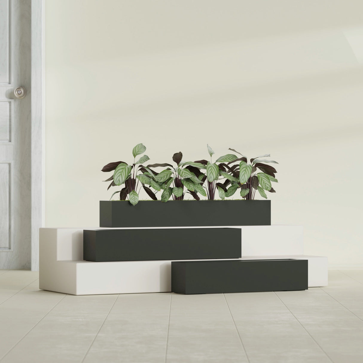 Salon Box fiberglass planter in Matte Charcoal, size range, in a sunlit interior