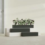 Salon Box fiberglass planter in Matte Charcoal, size range, in a sunlit interior