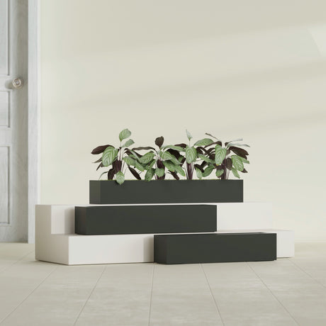 Salon Box fiberglass planter in Matte Charcoal, size range, in a sunlit interior