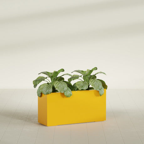 Miami Corner fiberglass planter in Gloss Saffron, shown planted, in a sunlit interior