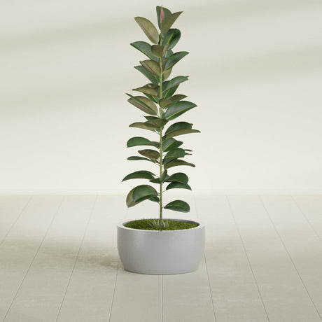 Casablanca Bowl fiberglass planter in Metallic Silver, shown planted, in a sunlit interior