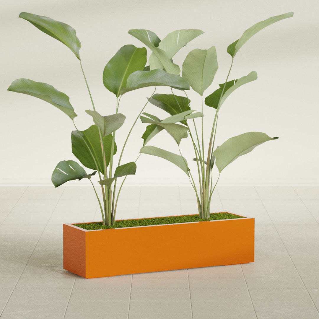 Cuba Low Rectangular fiberglass planter in Gloss Tangerine, shown planted, in a sunlit interior