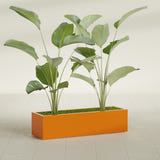 Cuba Low Rectangular fiberglass planter in Gloss Tangerine, shown planted, in a sunlit interior