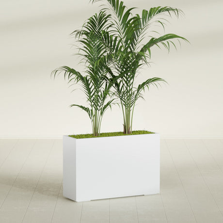 Potsdam Rectangular fiberglass planter in Gloss Bright White, shown planted, in a sunlit interior