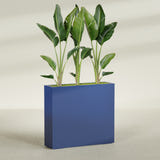 Amesbury Narrow Rectangular fiberglass planter in Matte Cobalt Blue, shown planted, in a sunlit interior