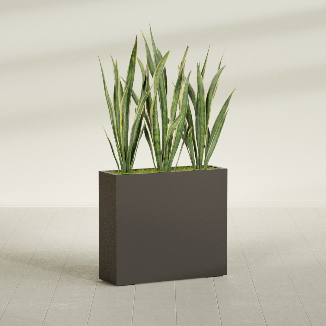 Delray Corner fiberglass planter in Matte Dark Brown, shown planted, in a sunlit interior