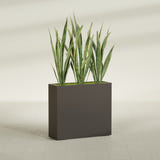 Delray Rectangular fiberglass planter in Matte Dark Brown, shown planted, in a sunlit interior