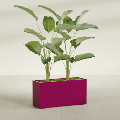 Tolga Corner fiberglass planter in Gloss Eggplant, shown planted, in a sunlit interior