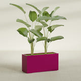 Tolga Rectangular fiberglass planter in Gloss Eggplant, shown planted, in a sunlit interior