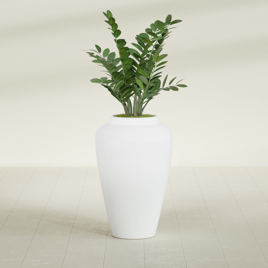 Barà Jar fiberglass planter in Matte Bright White, shown planted, in a sunlit interior