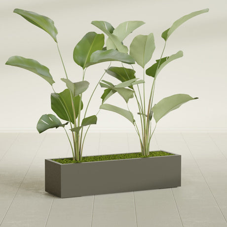 Cuba Low Rectangular fiberglass planter in Matte Bronze, shown planted, in a sunlit interior