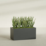 Granada fiberglass planter in Matte Charcoal, shown planted, in a sunlit interior