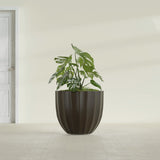 Santa Barbara Fluted Round fiberglass planter in Matte Dark Brown, shown planted, in a sunlit interior