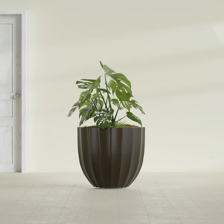 Santa Barbara Fluted Round fiberglass planter in Matte Dark Brown, shown planted, in a sunlit interior