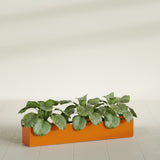 Salon Box fiberglass planter in Gloss Tangerine, shown planted, in a sunlit interior