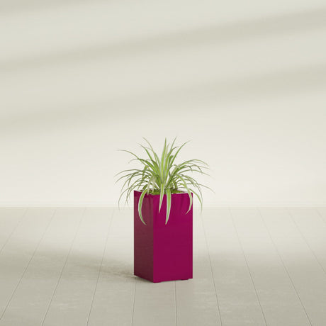 Hollywood Corner fiberglass planter in Gloss Eggplant, shown planted, in a sunlit interior