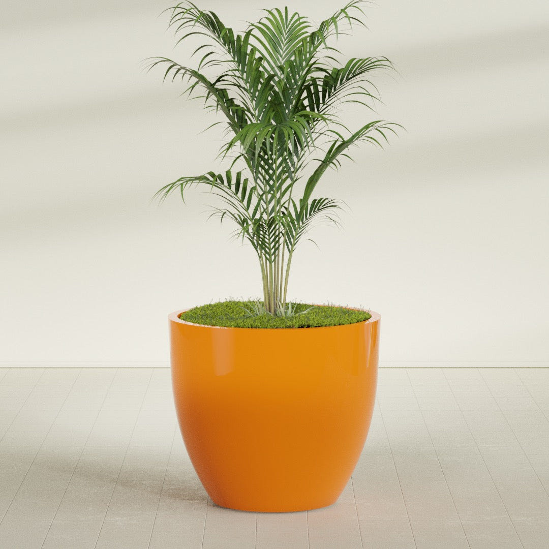 Wannsee Round fiberglass planter in Gloss Tangerine, planted, in a sunlit interior
