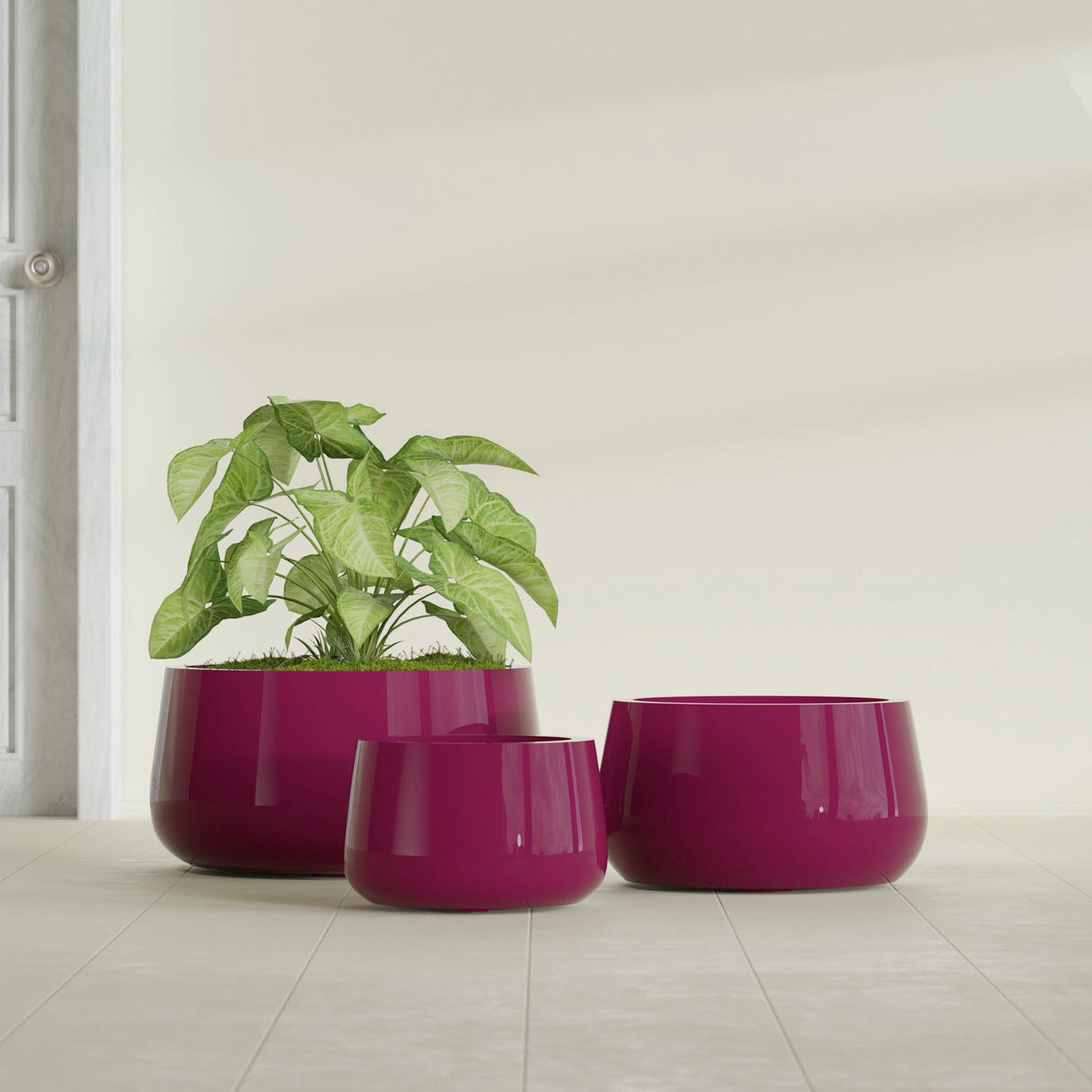 Short Hayden Bowl fiberglass planter in Gloss Eggplant, size range, in a sunlit interior