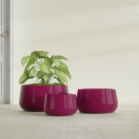 Short Hayden Bowl fiberglass planter in Gloss Eggplant, size range, in a sunlit interior