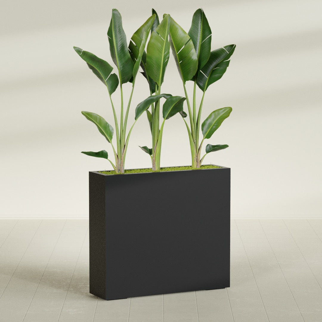 Amesbury Narrow Rectangular fiberglass planter in Matte Black, shown planted, in a sunlit interior