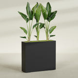 Amesbury Narrow Rectangular fiberglass planter in Matte Black, shown planted, in a sunlit interior