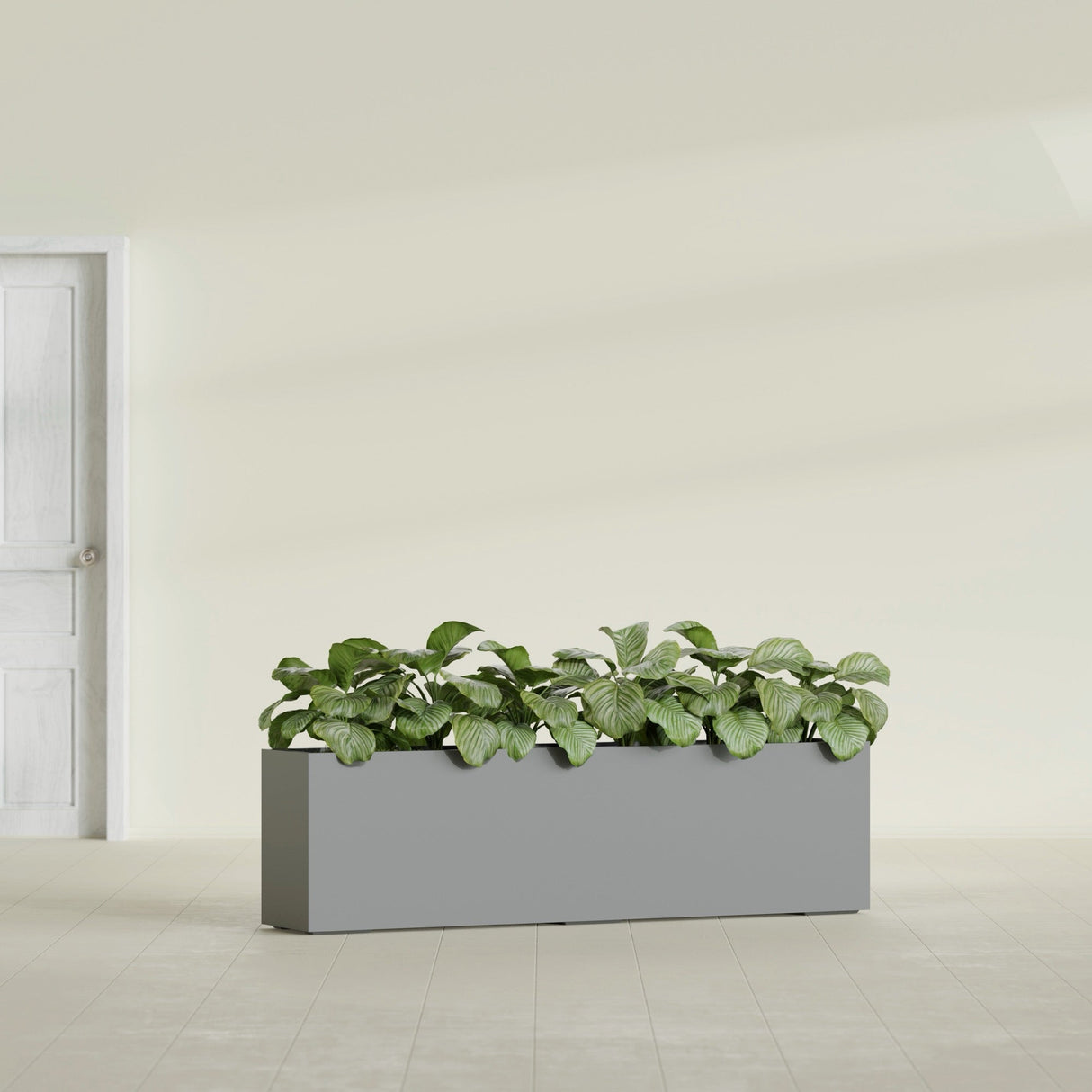 Hudson Extra Long fiberglass planter in Matte Gunmetal, shown planted, in a sunlit interior
