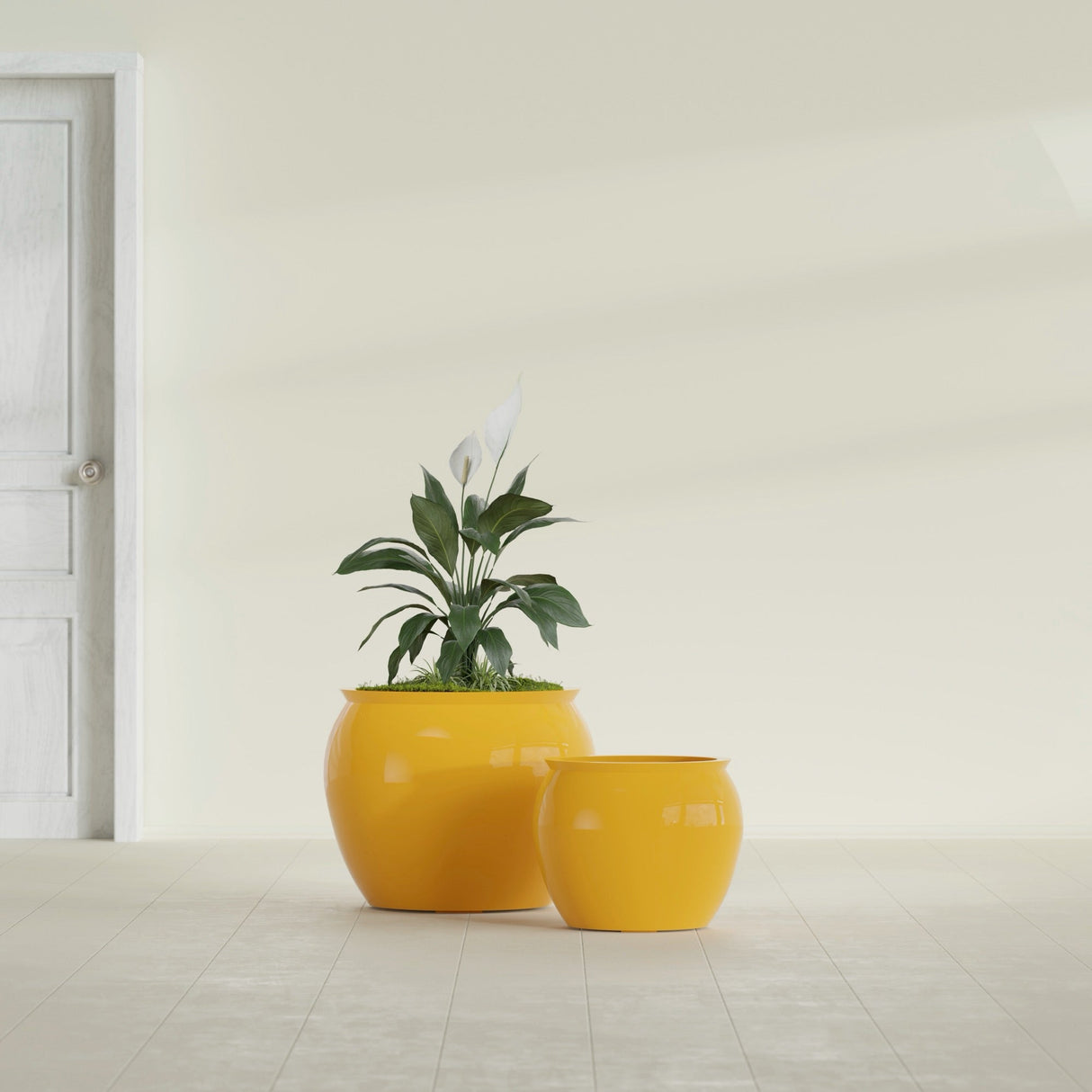 Shanghai Fishbowl fiberglass planter in Gloss Saffron, size range, in a sunlit interior