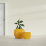 Shanghai Fishbowl fiberglass planter in Gloss Saffron, size range, in a sunlit interior