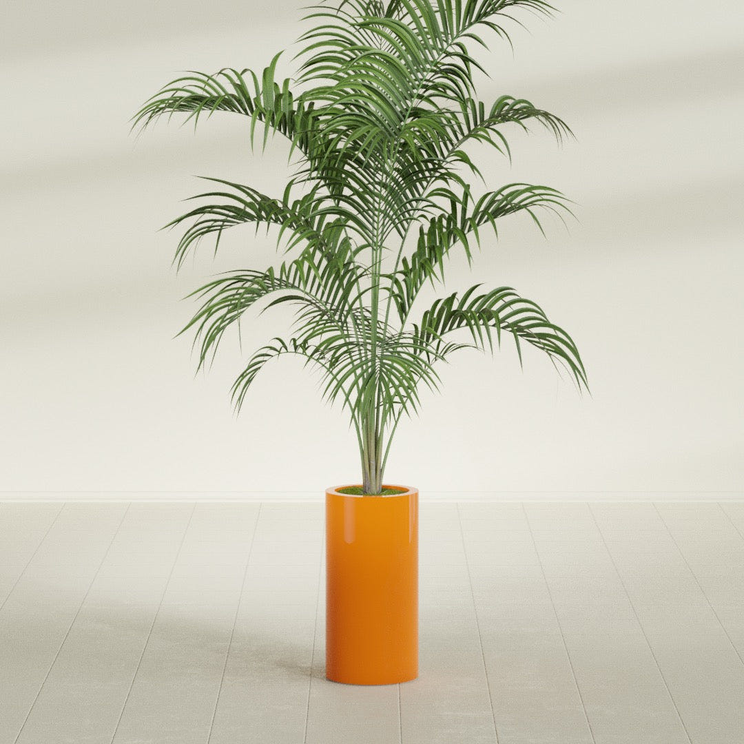 Corry Cylinder fiberglass planter in Gloss Tangerine, shown planted, in a sunlit interior