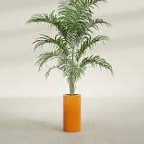 Corry Cylinder fiberglass planter in Gloss Tangerine, shown planted, in a sunlit interior