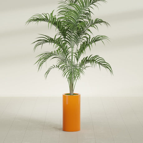 Corry Cylinder fiberglass planter in Gloss Tangerine, shown planted, in a sunlit interior