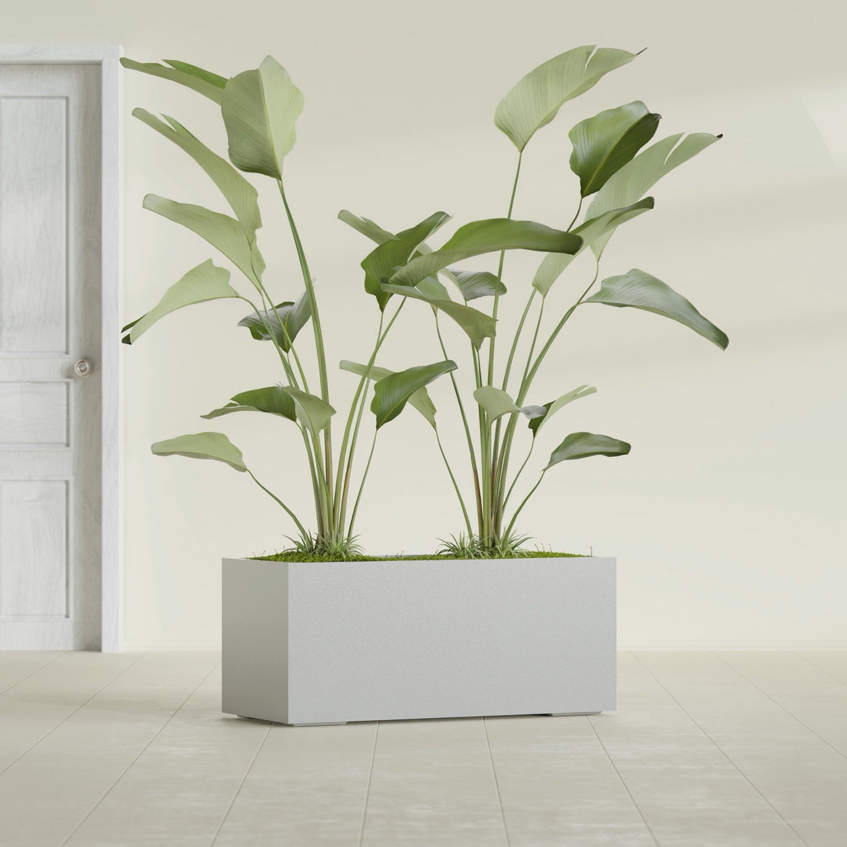 Badalona Rectangular fiberglass planter in Metallic Silver, shown planted, in a sunlit interior