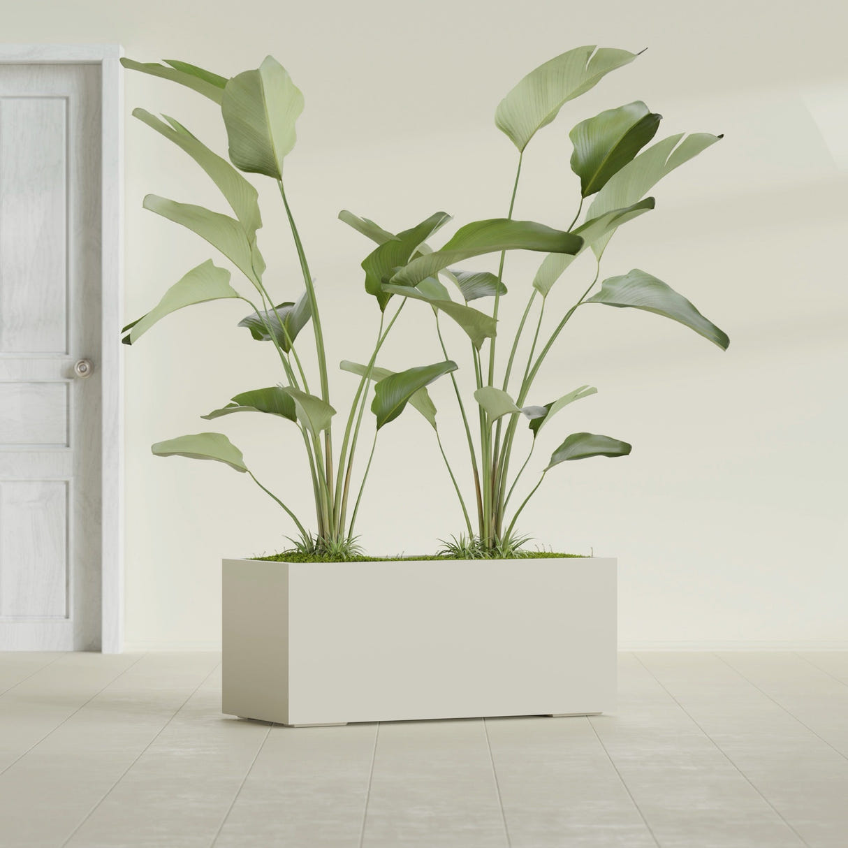 Badalona Rectangular fiberglass planter in Satin Beige, shown planted, in a sunlit interior