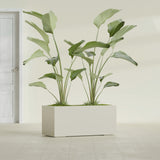 Badalona Rectangular fiberglass planter in Satin Beige, shown planted, in a sunlit interior