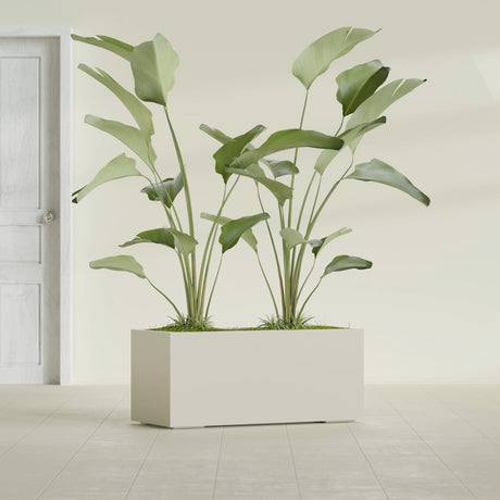 Badalona Rectangular fiberglass planter in Satin Beige, shown planted, in a sunlit interior