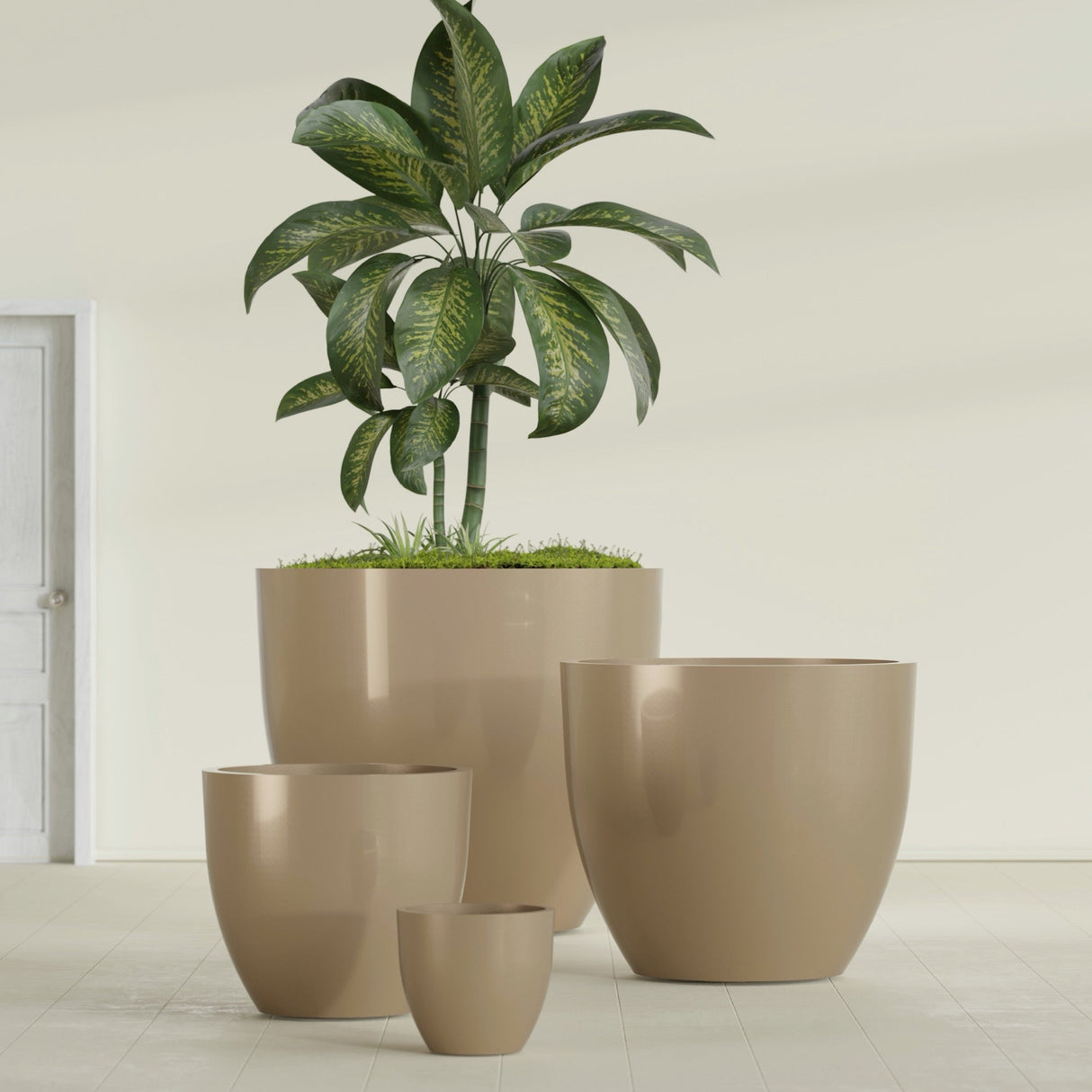 Wannsee Round fiberglass planter in Gloss Metallic Gold, size range, in a sunlit interior