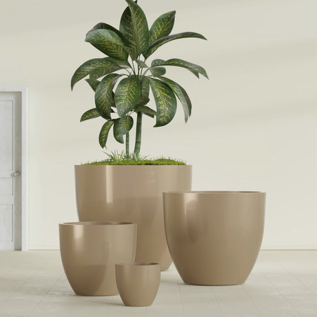 Wannsee Round fiberglass planter in Gloss Metallic Gold, size range, in a sunlit interior