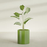Rio Grande Cylinder fiberglass planter in Satin Green, shown planted, in a sunlit interior