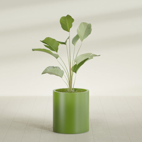 Rio Grande Cylinder fiberglass planter in Satin Green, shown planted, in a sunlit interior