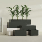 Torino Wide Rectangular fiberglass planter in Matte Charcoal, size range, in a sunlit interior