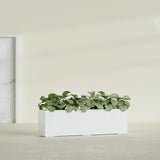 Hudson Extra Long fiberglass planter in Matte Bright White, shown planted, in a sunlit interior