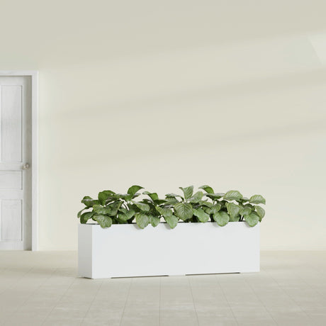 Hudson Extra Long fiberglass planter in Matte Bright White, shown planted, in a sunlit interior